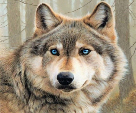 Lone Wolf - wolf, painting, nature, wildlife, eyes, beautiful, animal