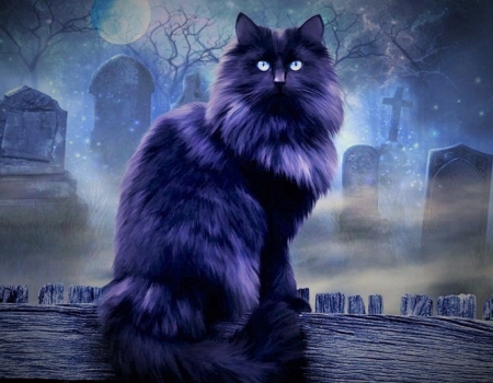 Black Halloween Cat - pretty, moon, dark, misty, black, halloween, cats, graves, animals