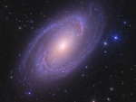 Bright Spiral Galaxy M81