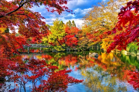 Autumn colors - branches, lake, autumn, trees, park, serenity, calm, forest, reflection, tranquil, beautiful, colors