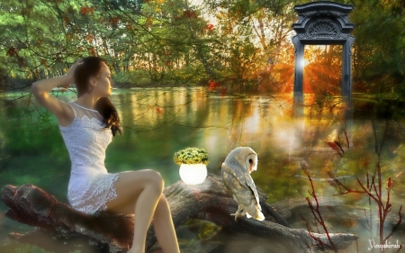 Enjoying the Sunset - woman, lake, trees, owl, sunset