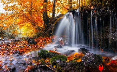 Waterfall - branches, fall, autumn, beautiful, leaves, waterfall