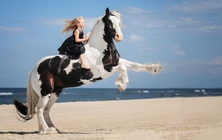 ღ❤ღ - nature, girl, friends, love, horse