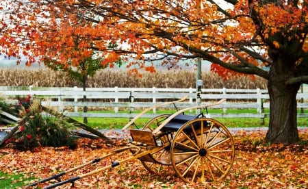 Autumn - fence, leaves, tree, cart, season