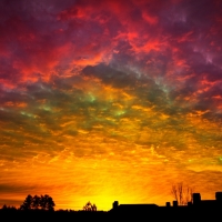 Nature Silhouette and Sunset Clouds