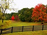 Autumn fence