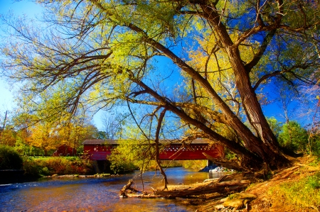 Covered bridge in autumn - branches, sky, autumn, trees, foliage, fall, covered, beautiful, river, leaves, golden, bridge