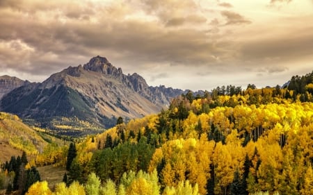 Autumn at Mount Sneffel - mountains, nature, colorado, autumn