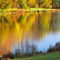 Autumn river reflection trees