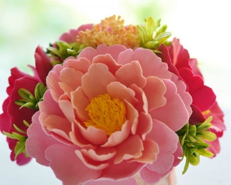 Beautiful Flowers - flowers, petals, pink, bloom