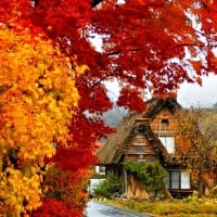 Autumn in Japan