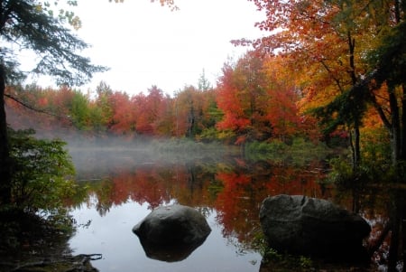 Morning Mist - water, reflection, leaves, trees, autumn