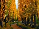 Autumn Path