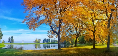 Autumn park - autumn, trees, park, serenity, fall, pretty, walk, beautiful, leaves, pond