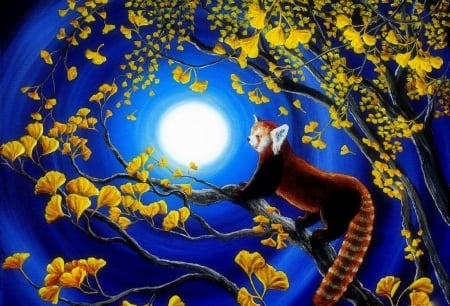 Red Panda in Gingko Tree - gingko tree, love four seasons, animals, draw and paint, red panda, paintings, moons