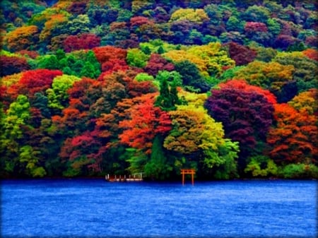 Autumn Lake - lake, forest, nature, autumn