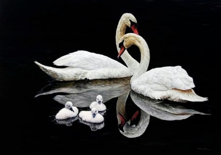 Swan Family - chicks, pair, water, reflection