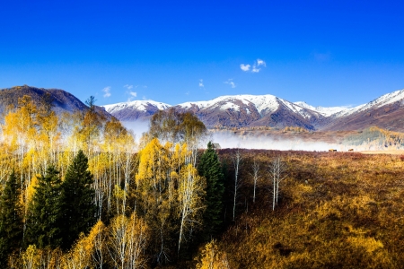 Snow Mountains - mountains, trees, nature, snow, autumn