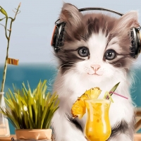 Cool Cat