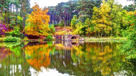 autumn lake - reflections, lake, autumn, water, tree