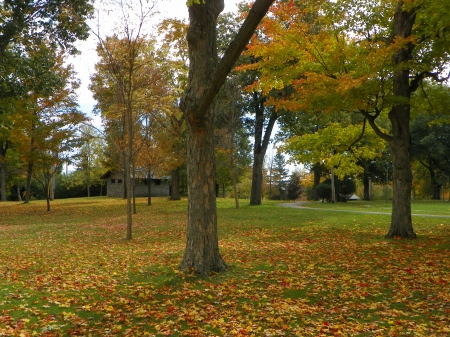 Fall in upstate ny - Forests & Nature Background Wallpapers on