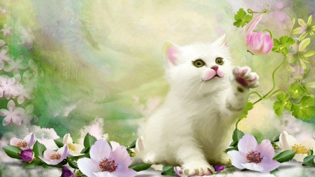 Sweet White Kitty - cat, kittens, kitty, feline, summer, flowers, spring