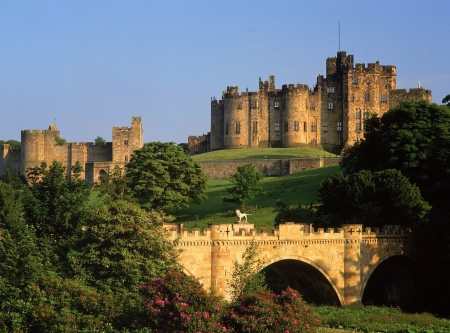 Alnwick castle and lion bridge - lion, castle, medieval, old, bridge