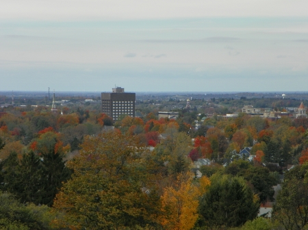 watertown ny - ny, nature, autumn, watertown, leaves