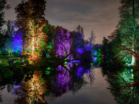 Park - Park, trees, pond, lights, night, light