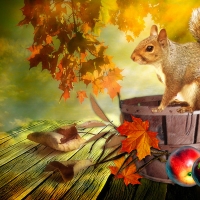 happy autumn day