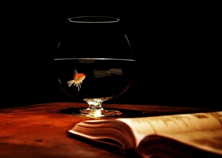 Still Life - fish, glass, book, water