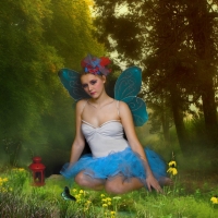 blue fairy