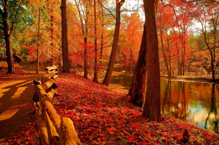 Autumn park - trees, pond, beautiful, forest, walk, leaves, fall, autumn, red, foliage, park