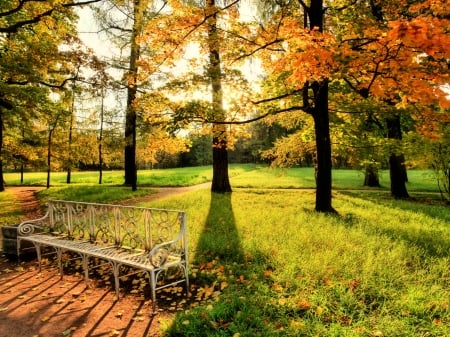 Autumn morning - morning, autumn, sunshine, sunlight, trees, park, bench, foliage, fall, walk, beautiful, rest, leaves, grass, sunrise