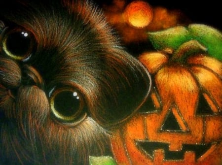 Halloween Cute Face - black cat, pumpkin, animals, moons, halloween, love four seasons, cats, holiday, paintings, cute