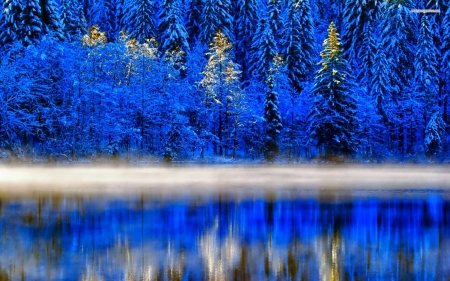 Blue Forest in the Morning - nature, lake, trees, forest, fog, mist