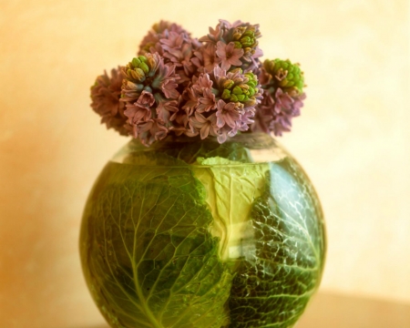 Flowers and Veges - veges, flowers, style, glass