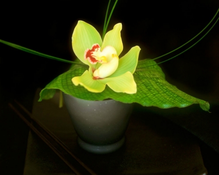 Glow in the Dark - vase, orchid, flower, dark