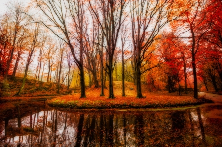 autumn - nature, autumn, lake, fall, forest, red, colors