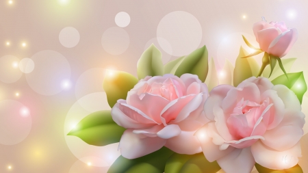 Soft Pink Roses - glow, roses, bokeh, summer, stars, pink, shine