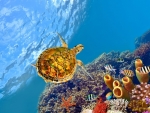 sea turtle