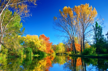 Autumn trees - lake, sky, autumn, trees, colorful, foliage, serenity, fall, reflection, tranquil, mirror, beautiful