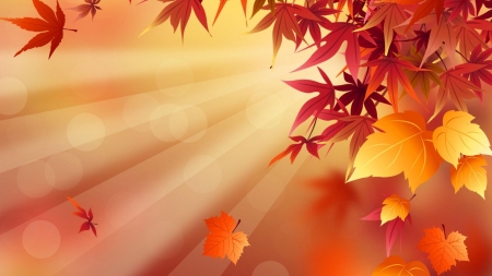 Autumn Leaves - rays, fall, autumn, leaves, circles