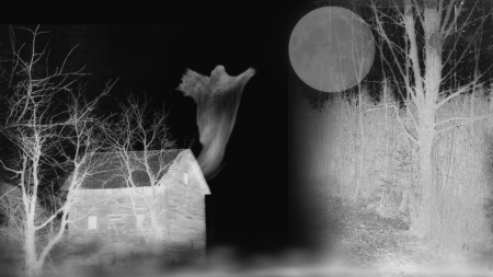 Haunted Farm House - house, trees, ghost, Halloween, black and white, farm, haunted, full moon