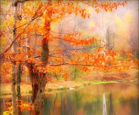 autumn colors - lake, fall, autumn, forest, colors