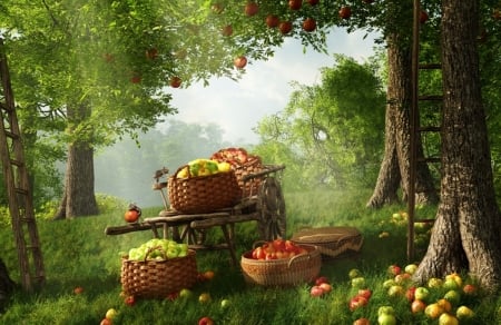 A rich autumn harvest - apples, harvest, trees, autumn