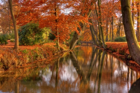 Autumn - autumn, forest, woods, river, tree, cute, foliage