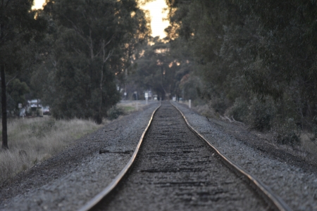 The long walk - Sunsetting, TrainTrack, Trees, Peace, Peaceful, Train, Track, Sun