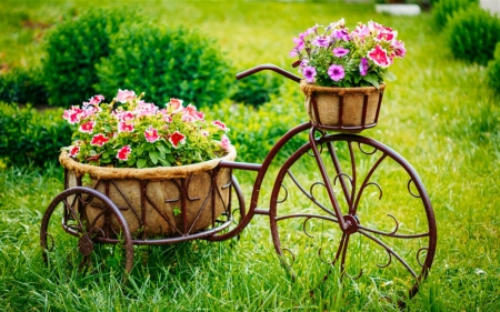 Lovely Flowers - flowers, beauty, grass, cart