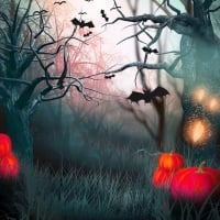 Halloween dark forest